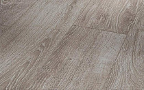 Ламинат Parador Basic Plus 600 XS 1593842 Дуб Светло-серый фото 1 | FLOORDEALER